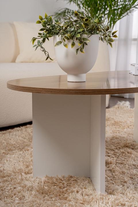 Productafbeelding Skye Decor Sable Scandinavian Coffee Table (119 x 60 x 40 cm)