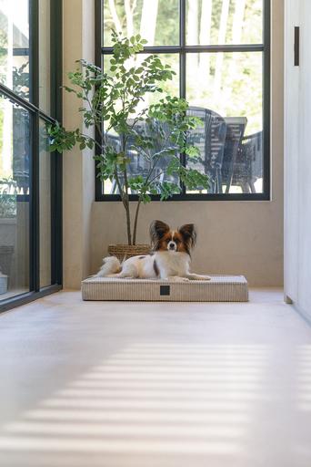 Image du produit Designed by Lotte Coussin pour cage Orthopaed Ribbed (Chien)