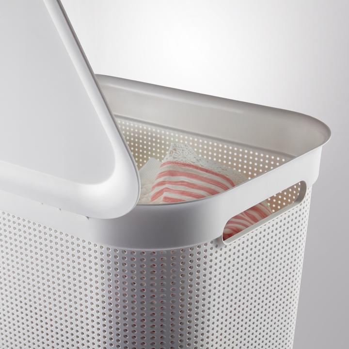 Image du produit Rotho Brises 1 (50 l)