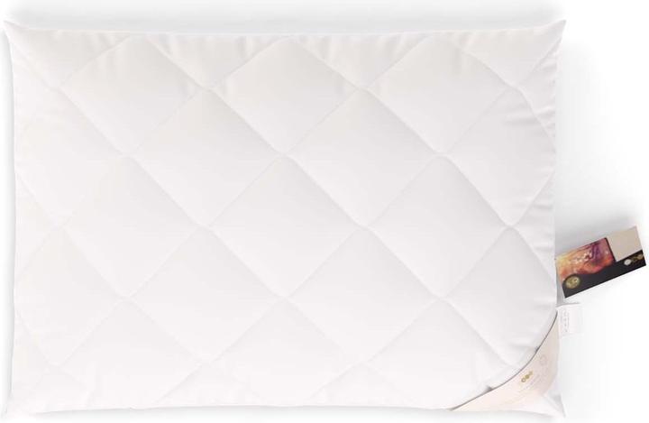 Immagine prodotto Erzstef Allergiker-Chemnitz (50 x 70 cm)