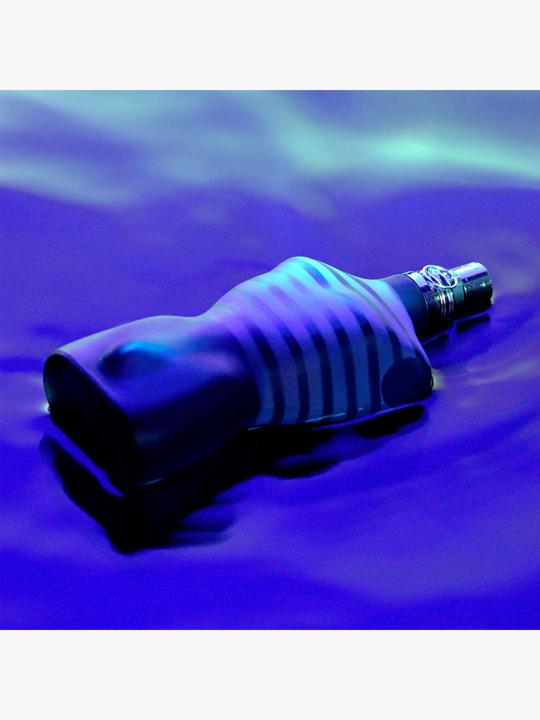 Image du produit Gaultier Le Male (Eau de toilette, 125 ml)