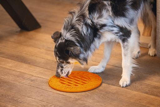 Image du produit Beeztees Tapis à lécher Tournesol