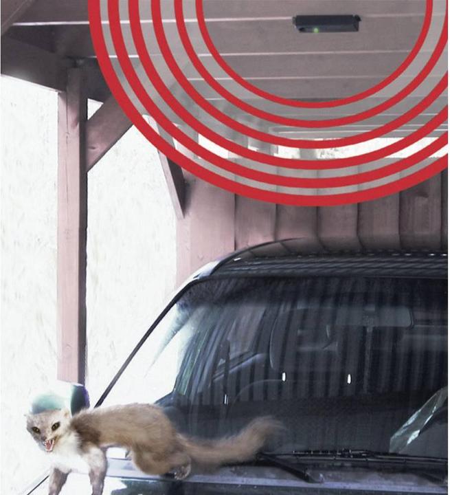 Actual product image Kemo Marten repellent