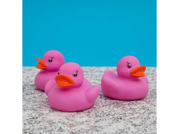 Produktbild TOP LED Badeenten