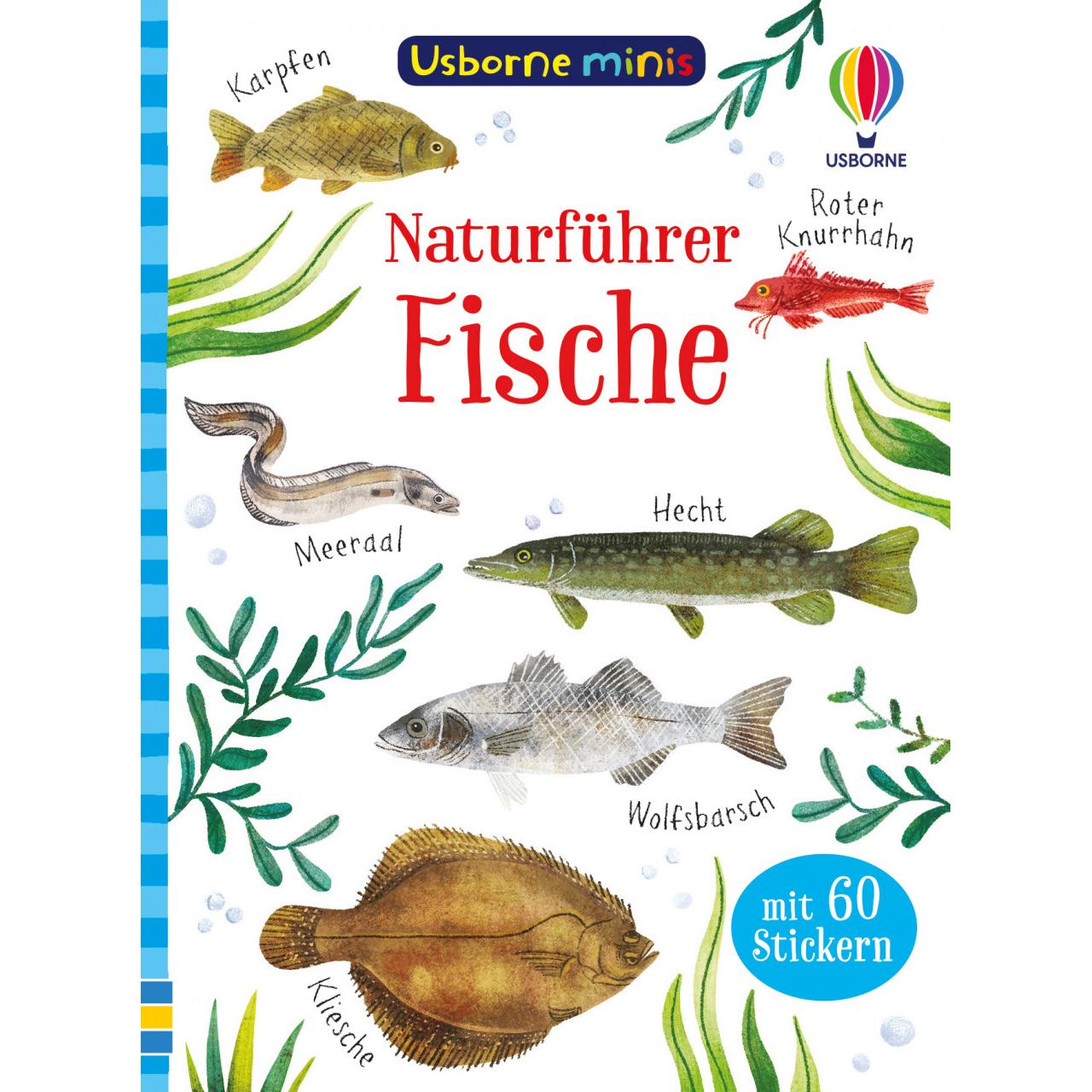 Minis Naturführer: Fische, Kinderbücher von Kate Nolan, Stephanie Fizer Coleman