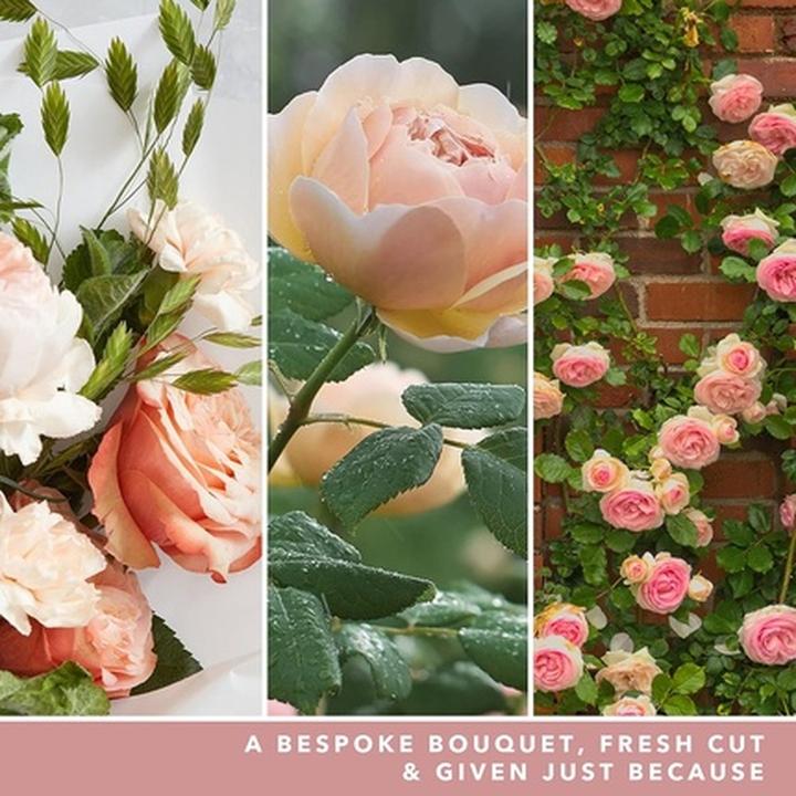 Produktbild Yankee Candle Duftkerze Fresh Cut Roses Signature Large Tumbler (567 g)