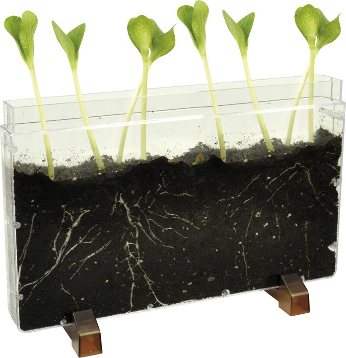 Eduplay Maison-racine / ferme de vers