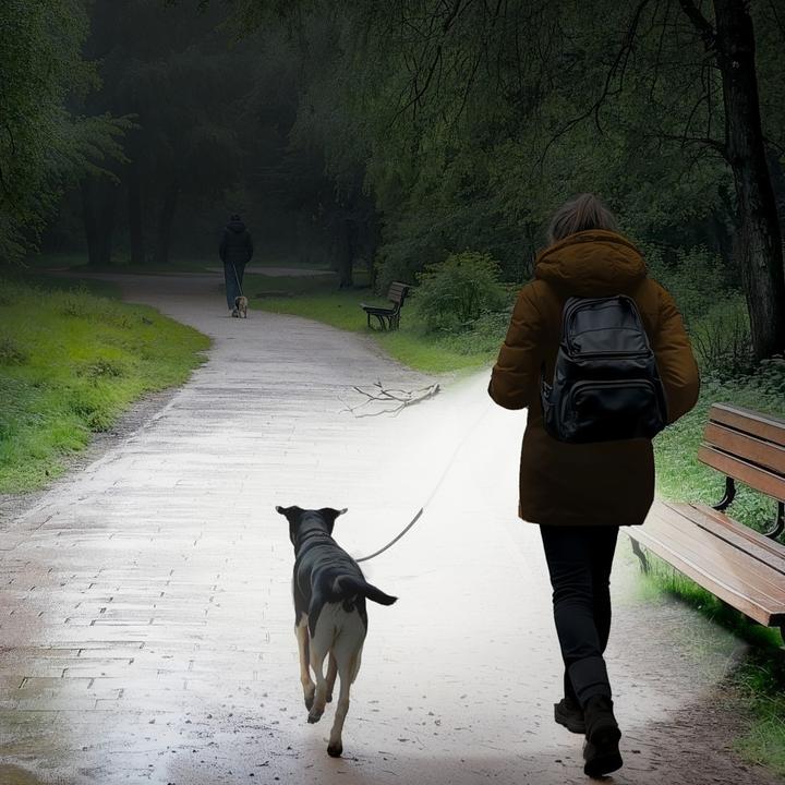 Produktbild Hama FL60 (9.50 cm, 60 lm)