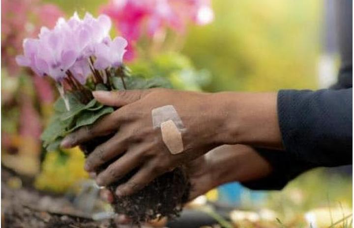 Actual product image Nexcare First Aid Pflasters Mix assortiert (20 x)