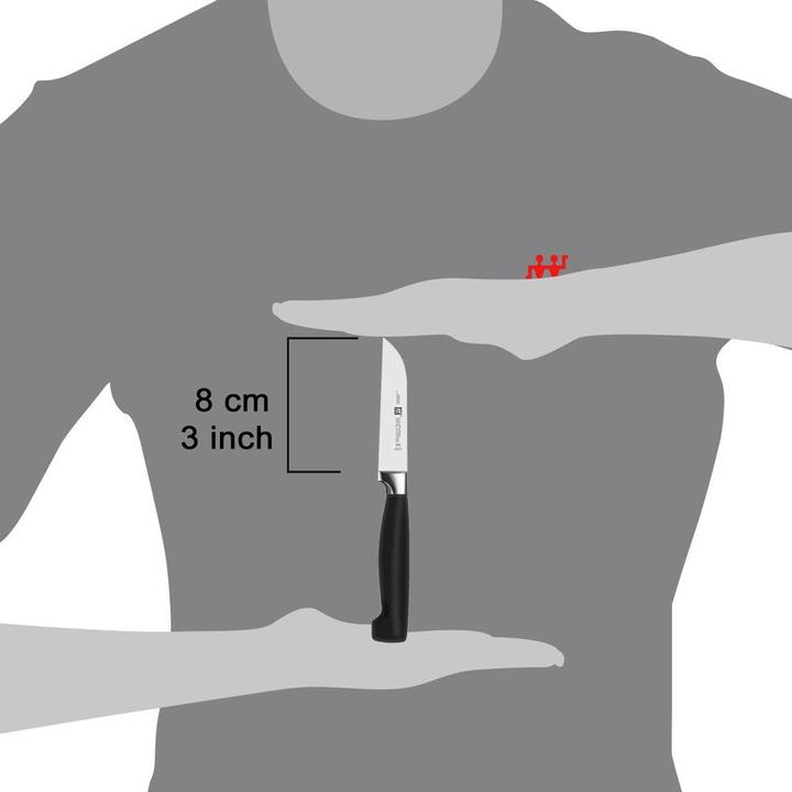 Produktbild Zwilling Vier Sterne (8 cm)