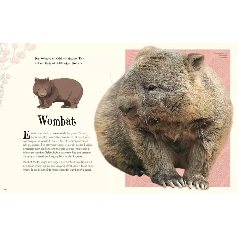 Thumbnail - Wundervolle Welt der Natur, Kinderbücher von Ben Hoare
