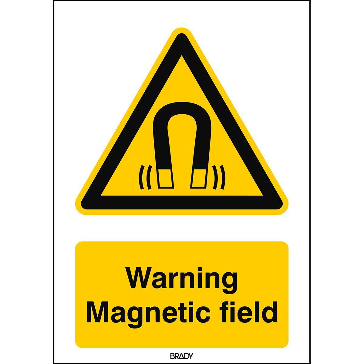 Thumbnail - Brady, Sicherheitskennzeichnung, ISO Safety Sign - Warning
