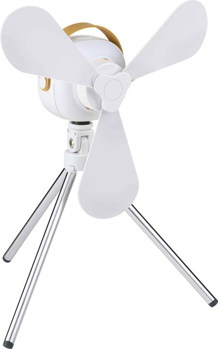 Image du produit Lifetime Air Ventilateur de table USB 12cm 2000mAh