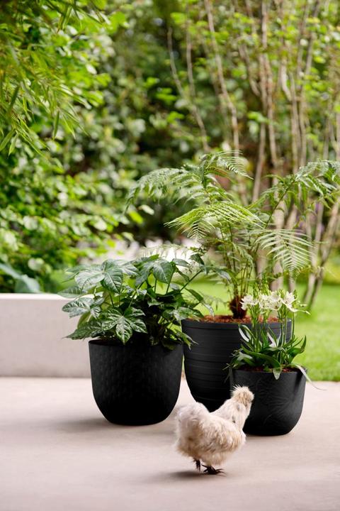 Produktbild Elho Fuente Rings (46.40 x 38.30 cm)