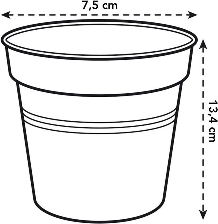 Actual product image Elho Greenbasics propagation pot set