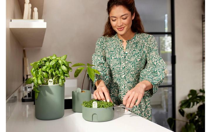 Produktbild Elho Bouncy Basil (17 x 21 cm)