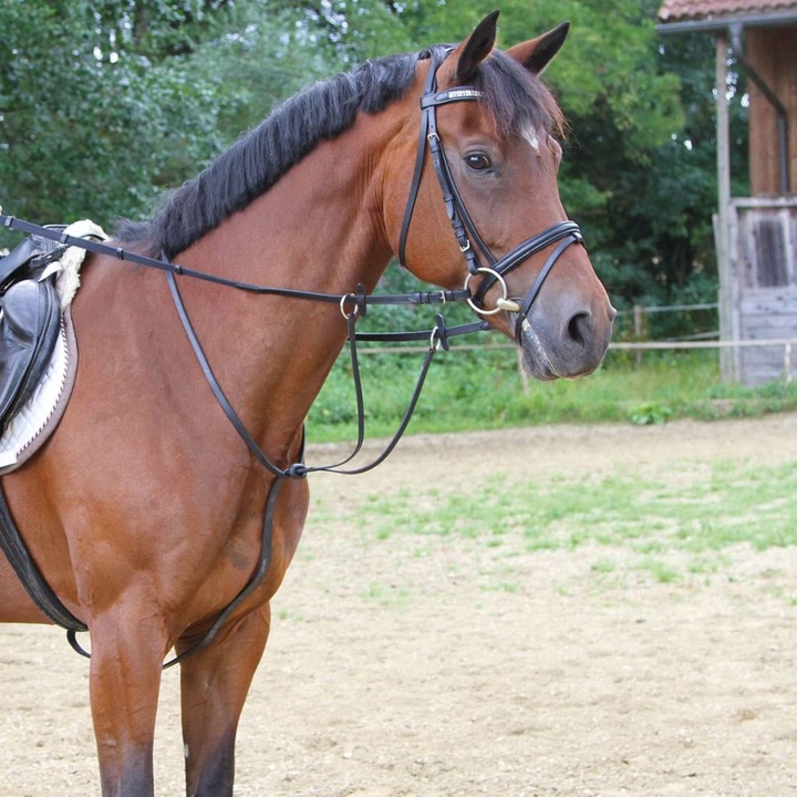 Actual product image Kerbl Martingale