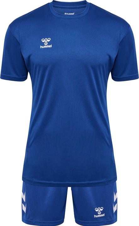 Trueblue