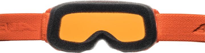 Image du produit ALPINA SPORTS Piney