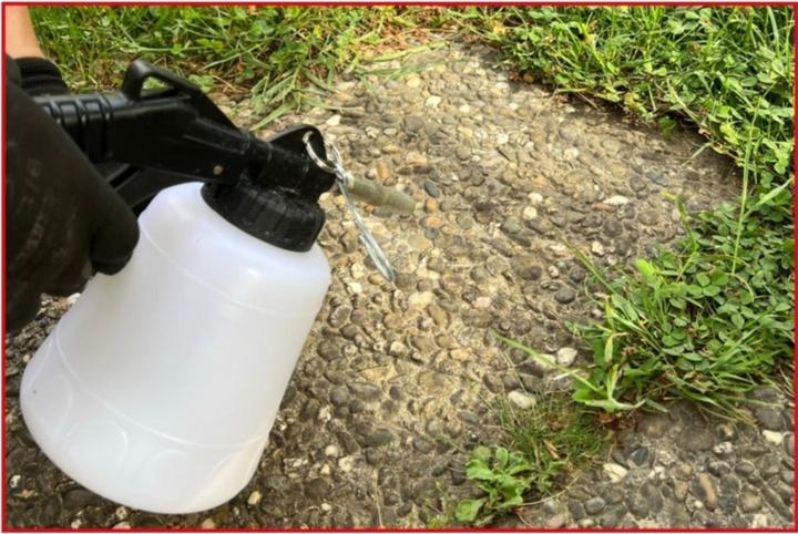 Actual product image KS Tools 515.1919