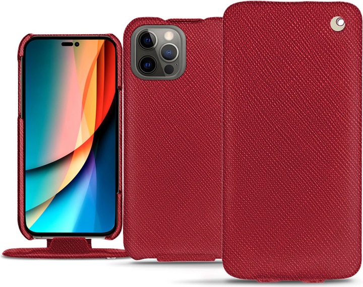 Rouge passion ( Pantone #a6192e )