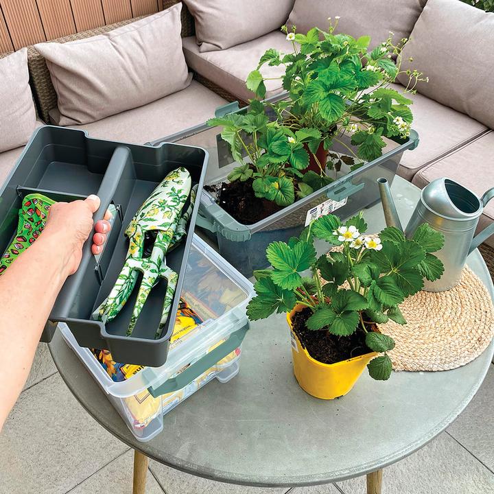 Actual product image Rotho Evo (25 cm, 1x)