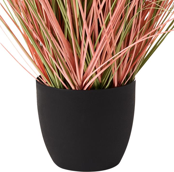 Immagine prodotto Beliani Bristlegrass (120 cm)