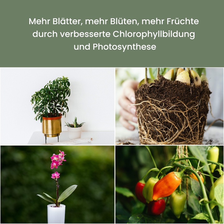 Actual product image Parus by Venso Sunlite XL 25 (LED, 230 V)