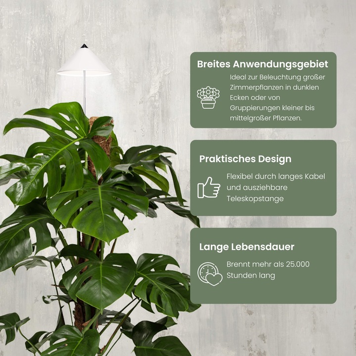 Actual product image Parus by Venso Sunlite XL 25 (LED, 230 V)