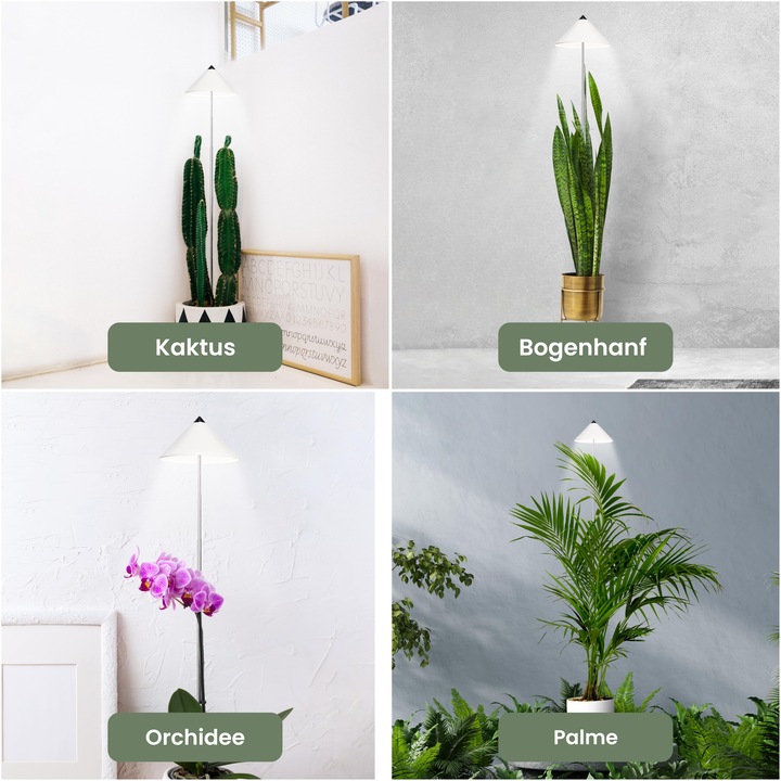 Actual product image Parus by Venso Sunlite XL 25 (LED, 230 V)