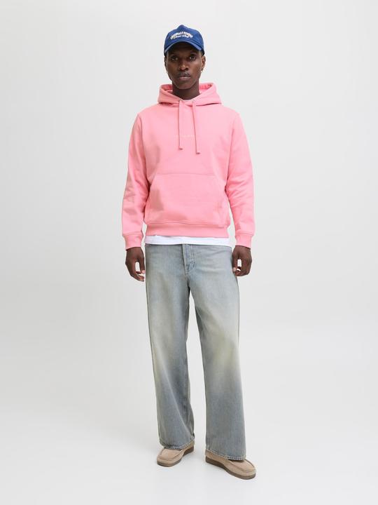 Actual product image Jack & Jones Kapuzenpullover Kapuzenpullover (XL)