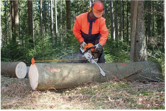 Productafbeelding Nestle Snijstaaf KOLIBRI Lengte 33 cm Materiaal Staaf:Glasvezel Plaat:Synt.