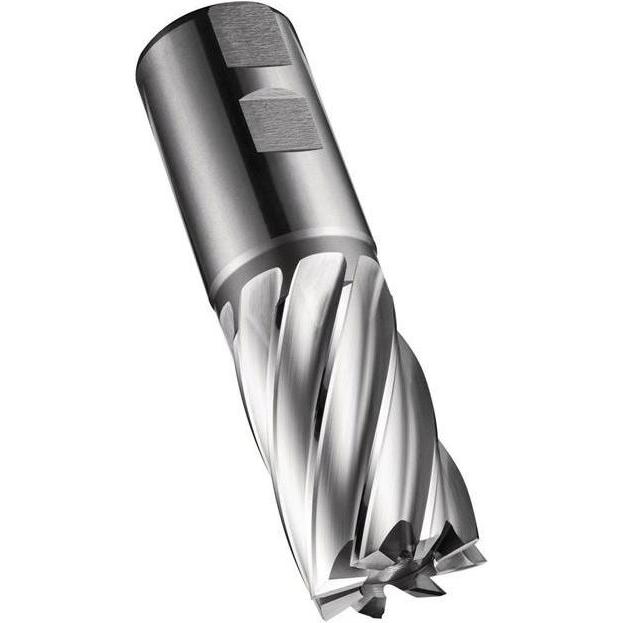 Thumbnail - Dormer, Fräser, Schaftfräser C247 DIN 844 K Nenn-Ø 36 mm Schneidenlänge 53 mm HSS-E-PM Blank 30 ° Schneidenanzahl 6