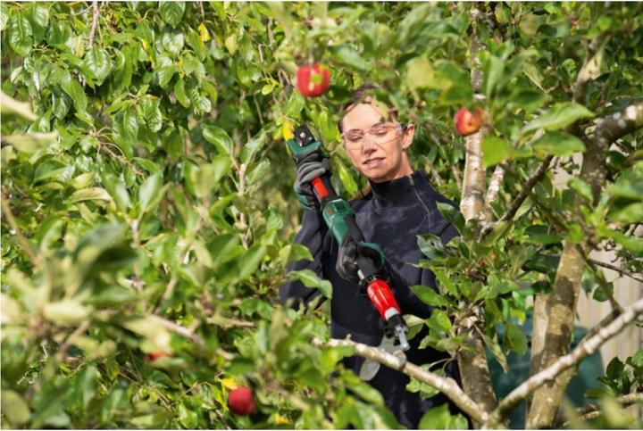 Actual product image Bosch Home & Garden AdvancedPrune