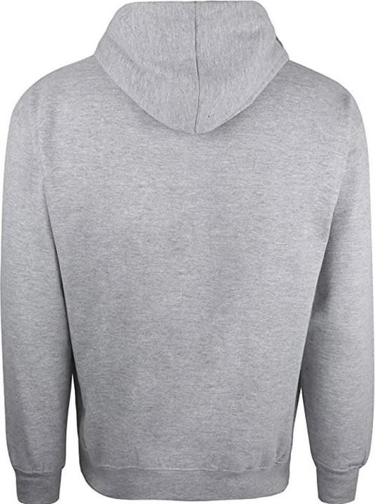 Image du produit Sweat à capuche (XXL)