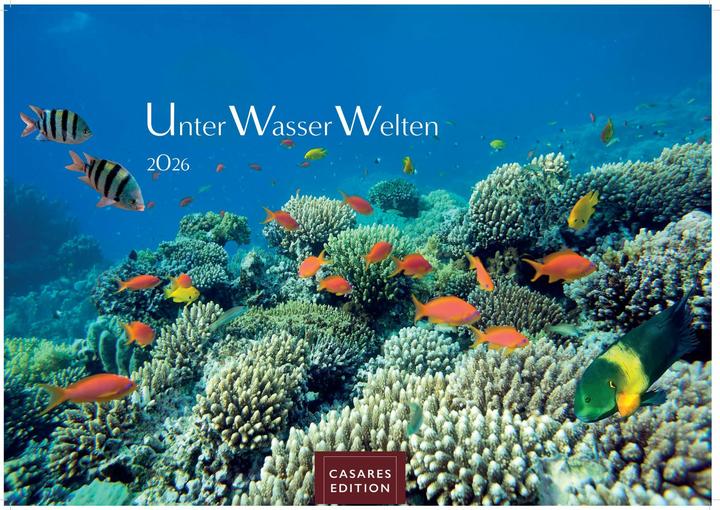 Actual product image Unterwasserwelten 2026 S 24x35cm (24 x 35 cm)