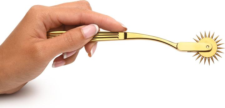 Image du produit Master Series XR Brands - Roue Wartenberg - Or