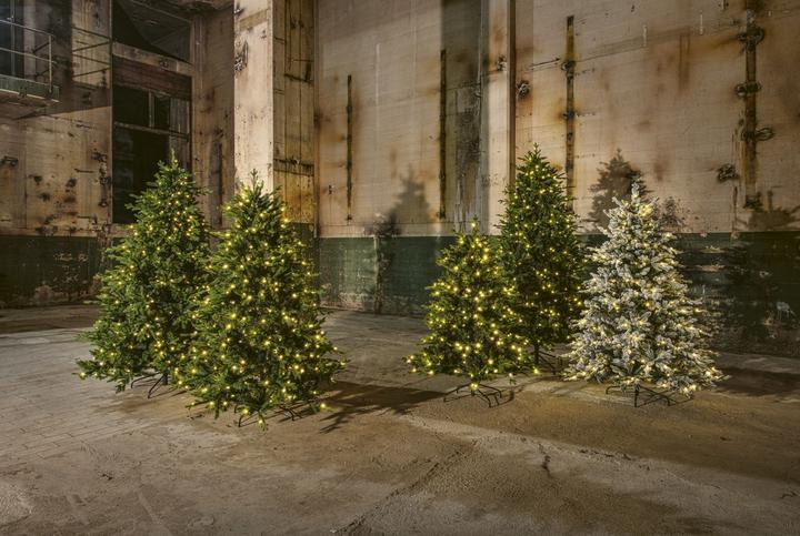 Immagine prodotto STT Albero (180 cm)