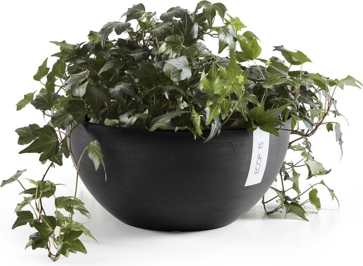 Produktbild Ecopots Brussels (25 cm)