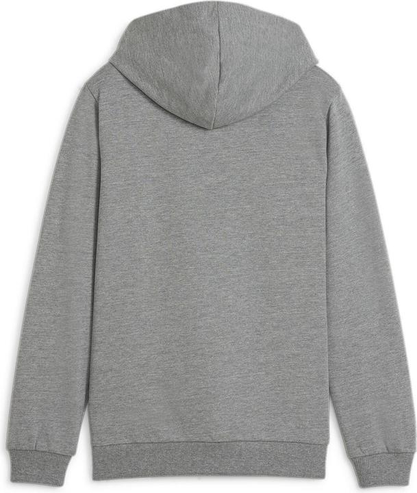 Actual product image Puma teamGOAL Casuals Hoody Jr (140)