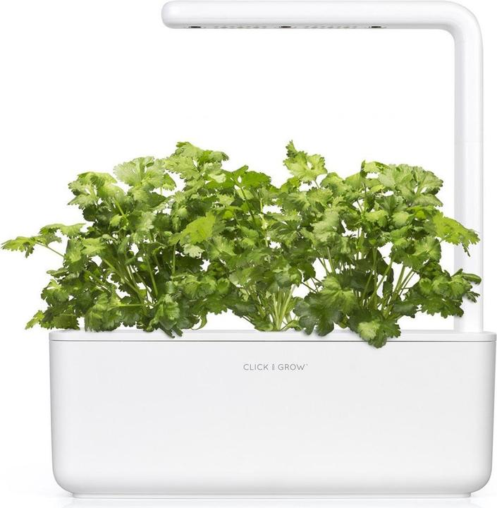 Immagine prodotto Click and Grow coriandolo (Semi di erbe)
