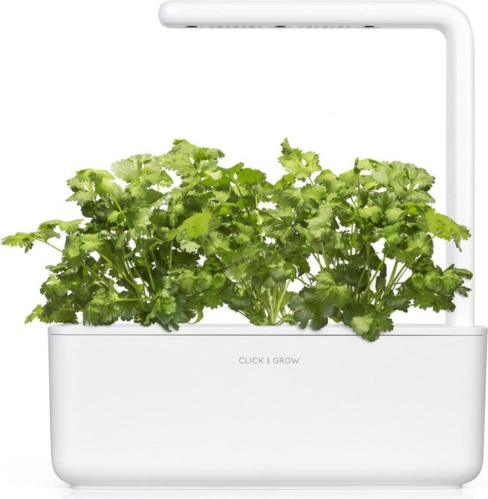 Image du produit Click and Grow Coriandre (Graines d'herbes aromatiques)