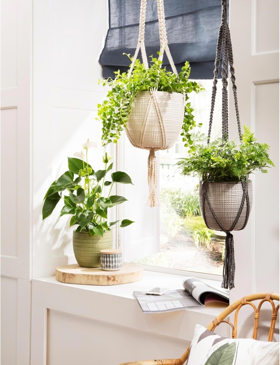 Image du produit Scheurich Pot à suspendre Hängeampel 868 (22.50 cm)