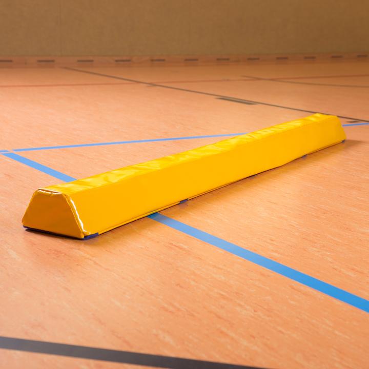 Actual product image Reivo Rinogym balance beam