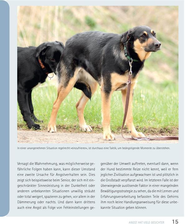 Produktbild Mein Hund hat Angst (Deutsch, Udo Ganslosser, Petra Krivy, 2024)