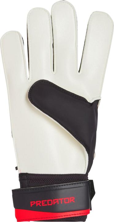 Produktbild Adidas TorhüterHandschuhe Predator Training (8)