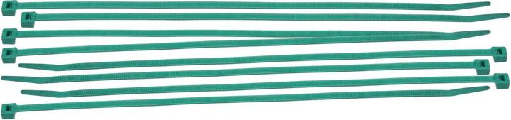 Produktbild Brady Leitungs- und Kabelbinder aus Nylon (Kunststoffkabelbinder, 200 mm, 100 Stk.)