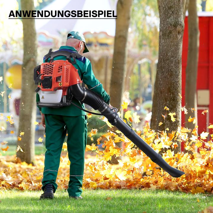 Immagine prodotto Wiltec Soffiatore per foglie (Benzina, Soffiafoglie)