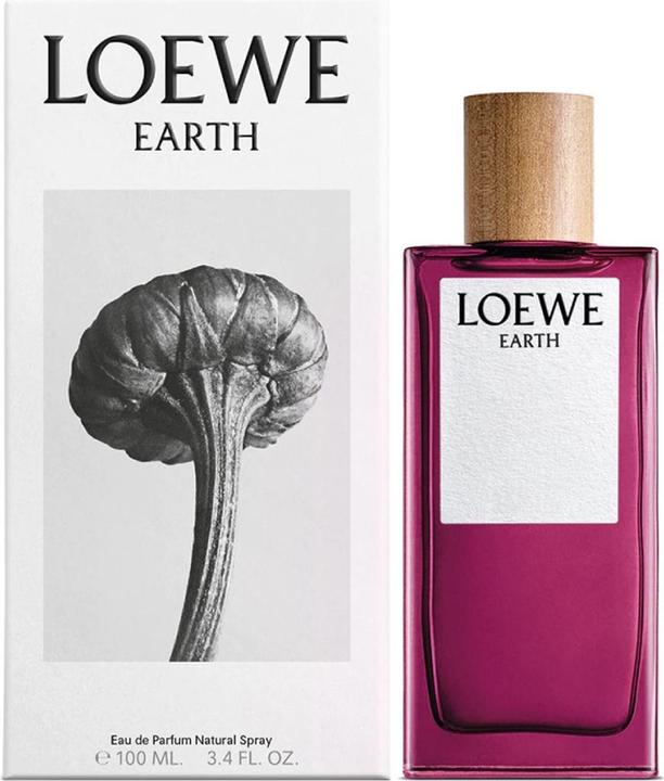 Produktbild Earth (Eau de Parfum, 100 ml)