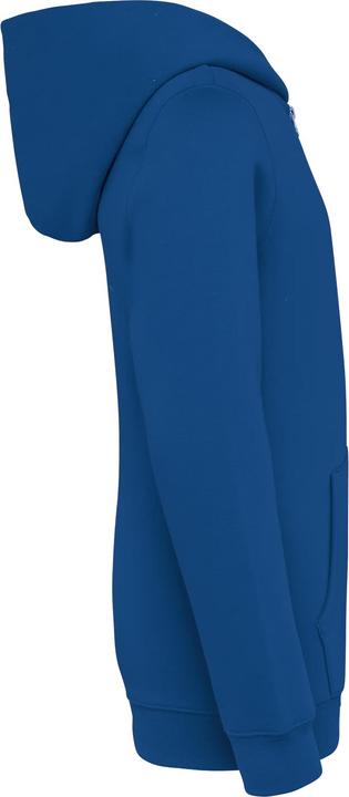 Image du produit Native Spirit Sweatshirt à capuche écoresponsable zippé enfant (10XL)